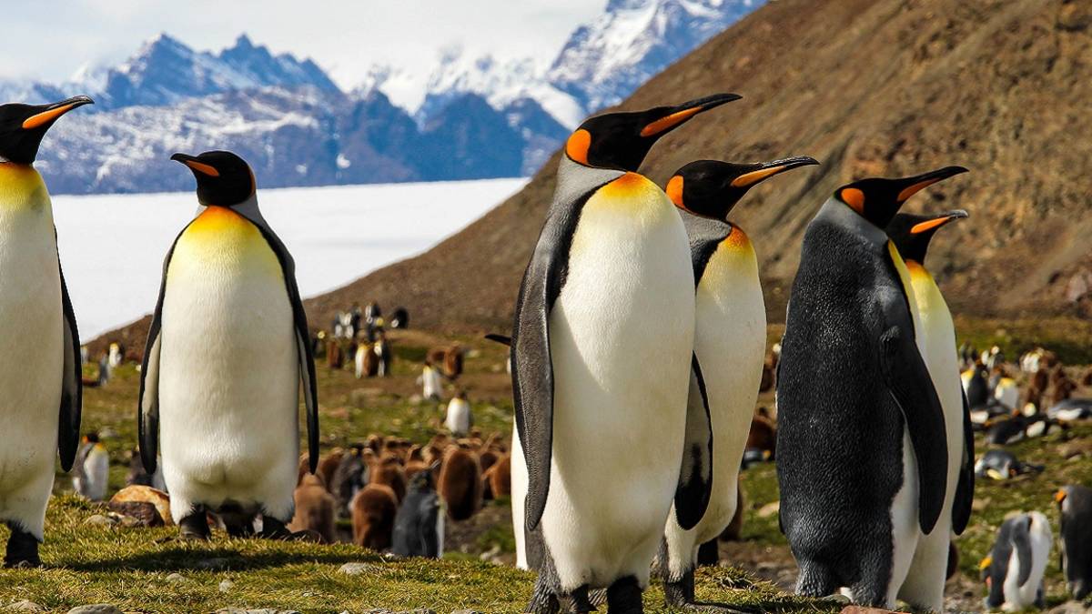 Ausgefallene Kreuzfahrtreisen in aller Welt: unsere Top 5