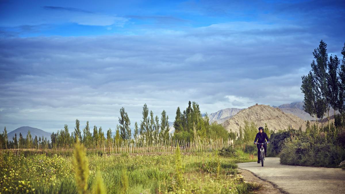 Fahrradtour in der Landschaft Indiens