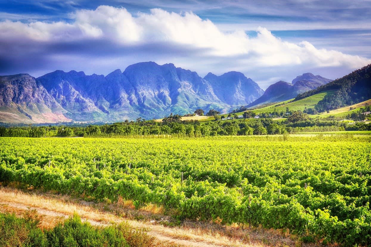 Stellenbosch Winelands, South Africa