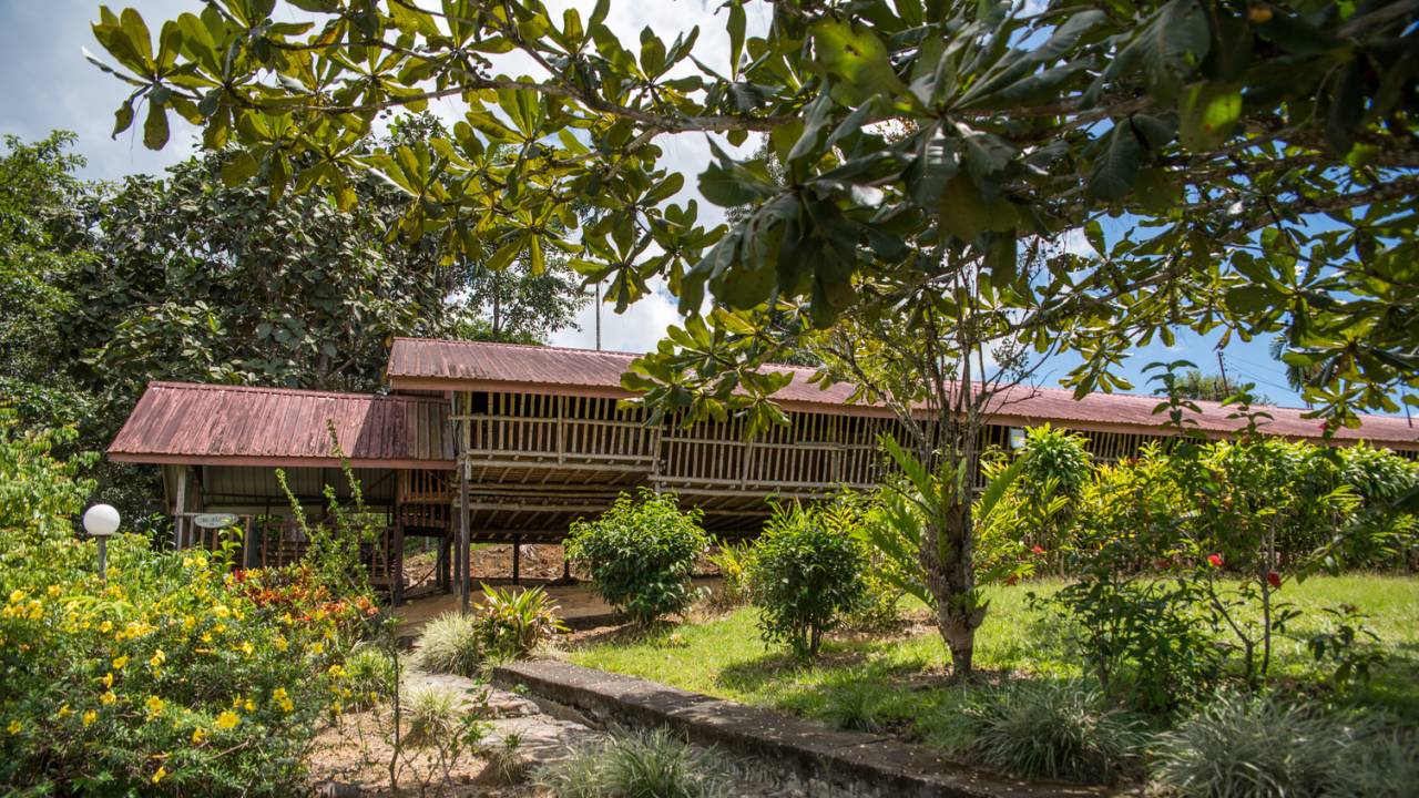Borneo Family Wildlife Adventure