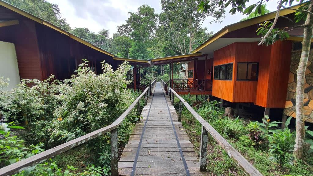 Borneo Family Wildlife Adventure