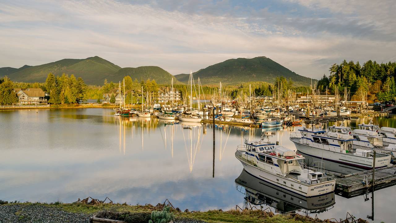 Whales & Bears of British Columbia