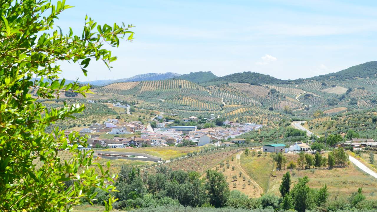 Walking in Andalucia