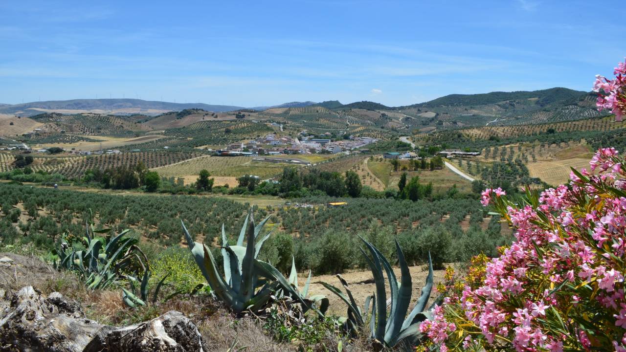 Walking in Andalucia