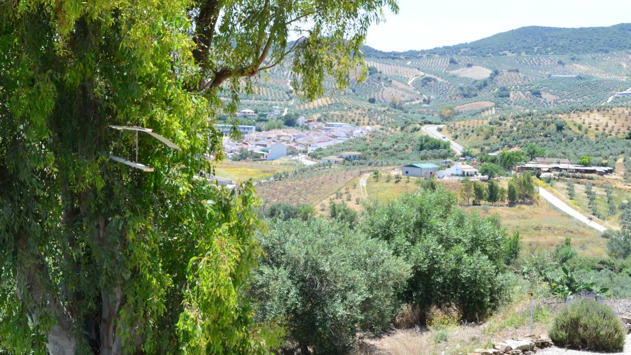 Walking in Andalucia
