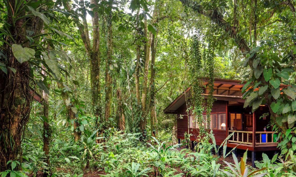 Evergreen Lodge
