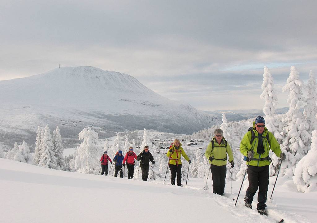 Norway Cross-country Skiing