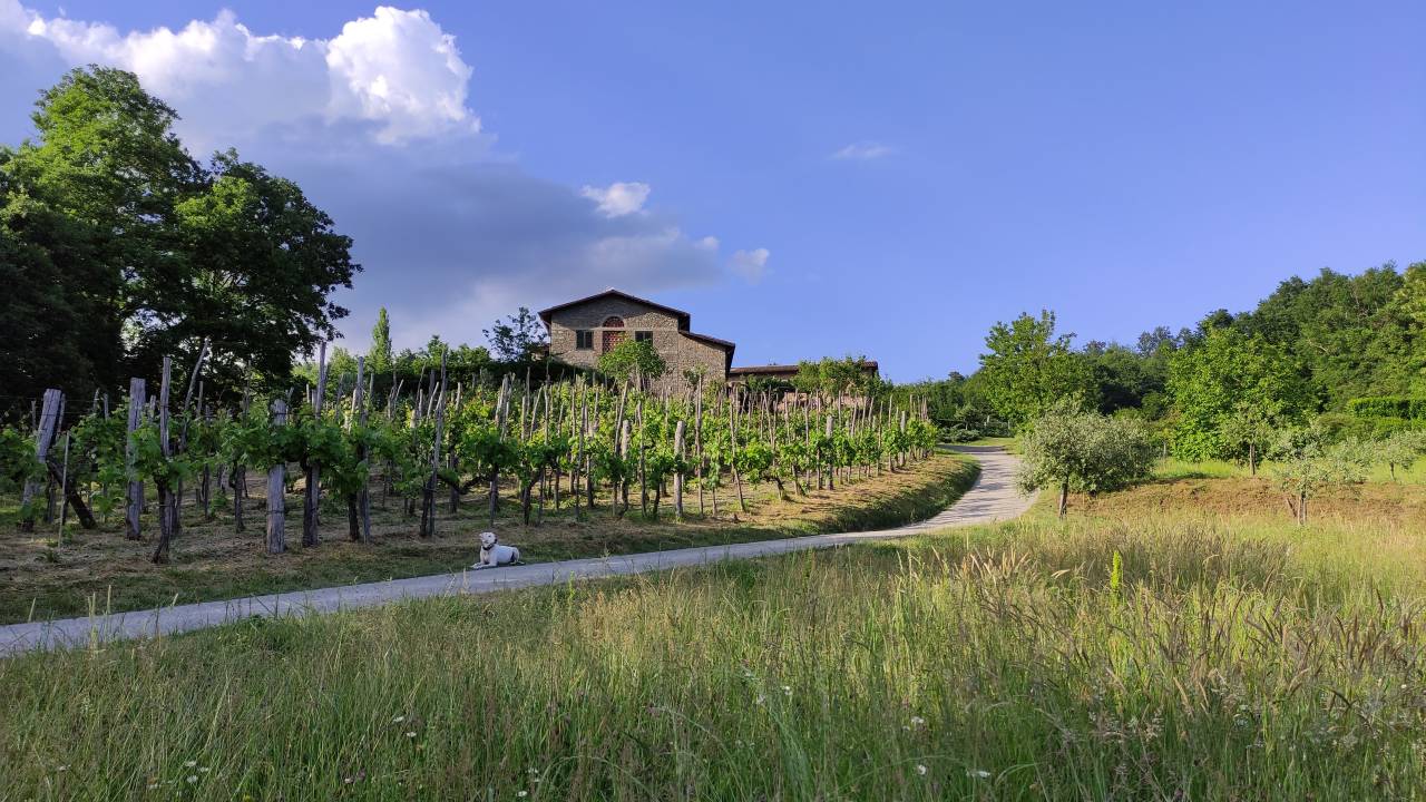 Walking in Tuscany