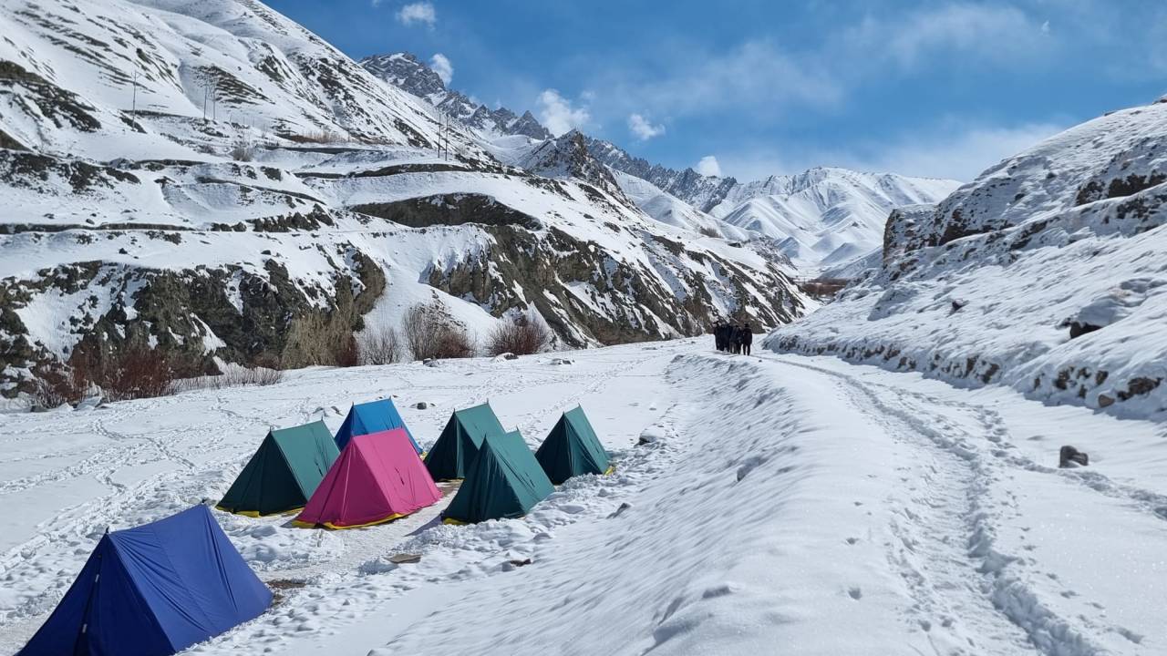 Search for Snow Leopards with Valerie Parkinson