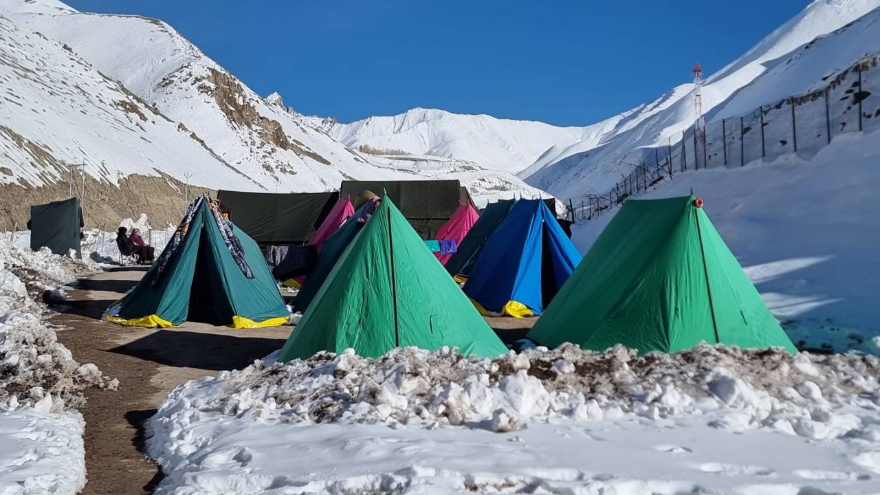 Search for Snow Leopards with Valerie Parkinson