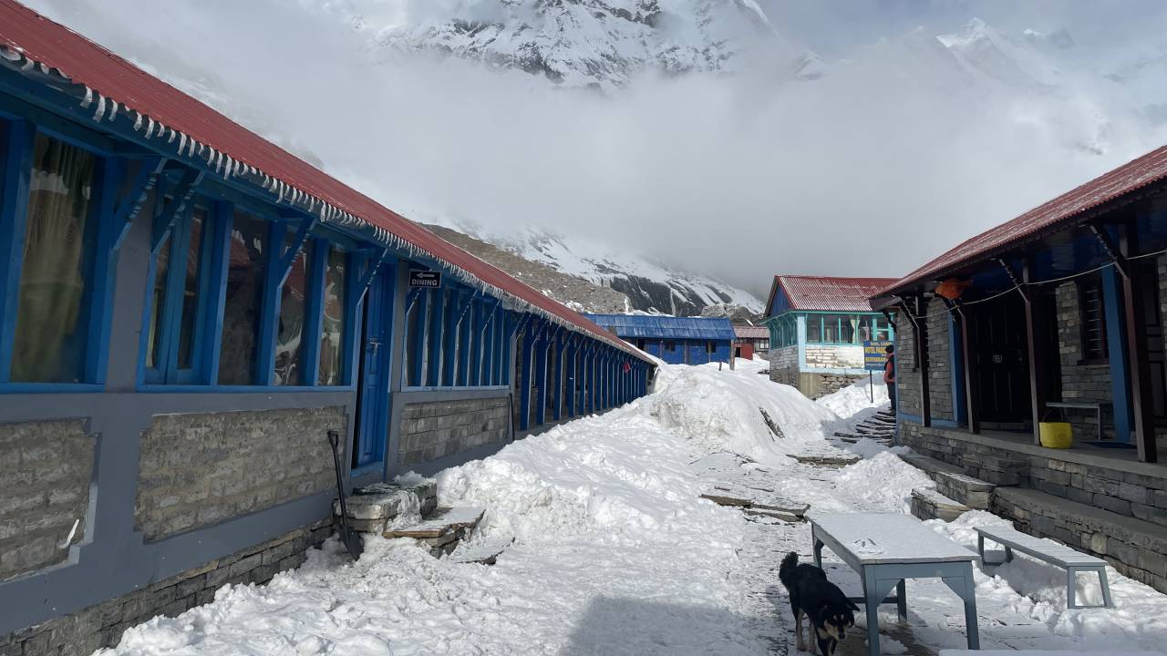 Annapurna Sanctuary Trek