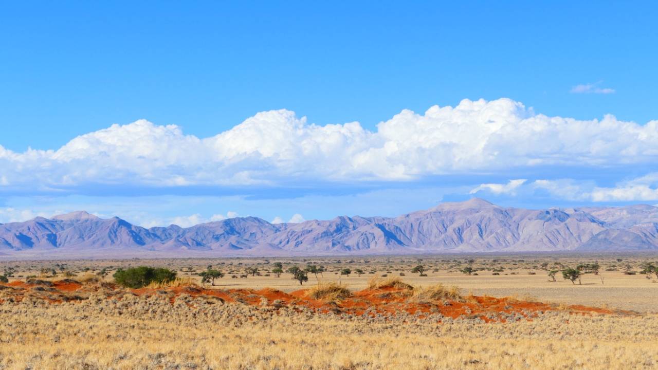 Botswana & Namibia: Delta & Dunes