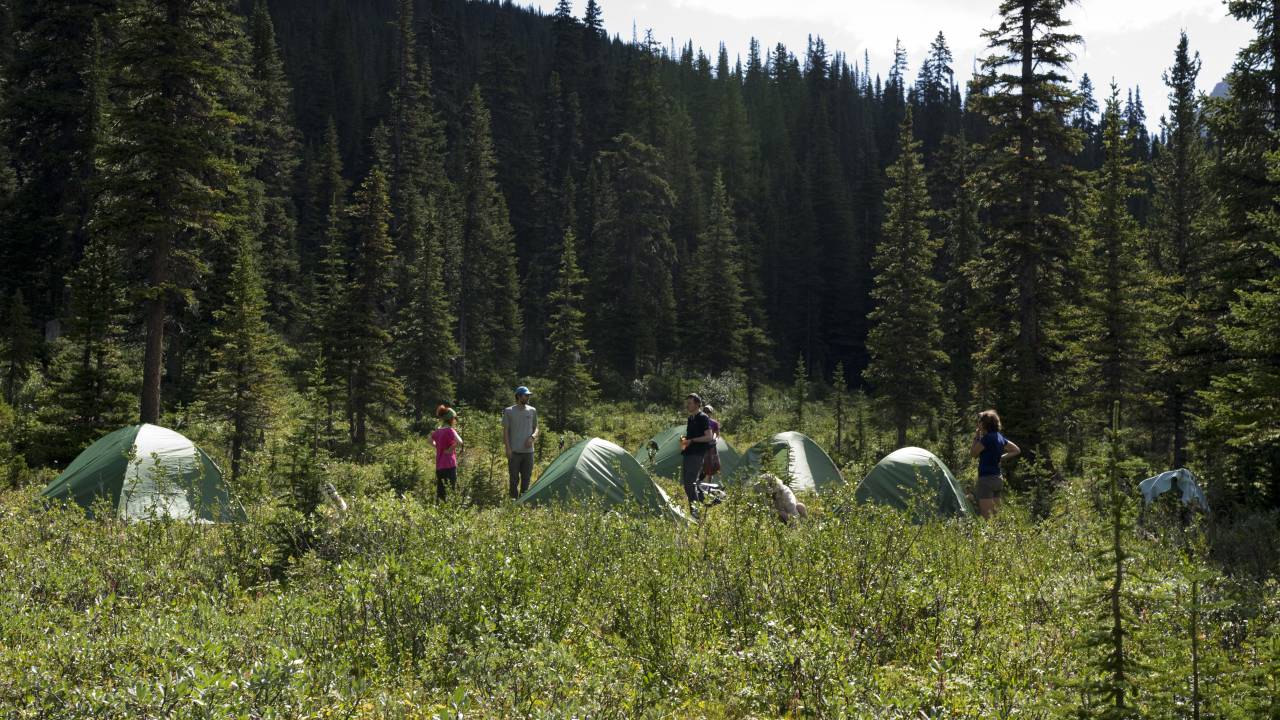 Guided Hiking, Backpacking Summer Camps in Canadian Rockies