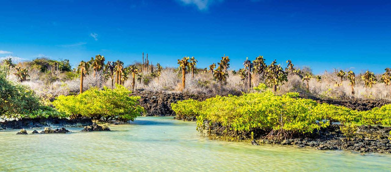 Galapagos Islands