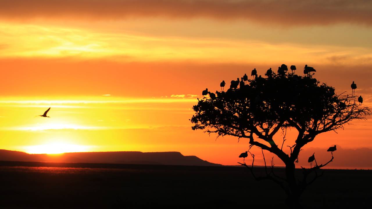 African sunset