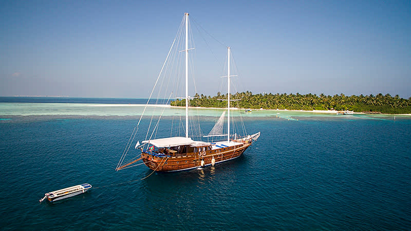 Marine Wildlife of the Maldives