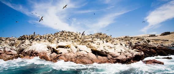 Ballestas Islands, near Paracas