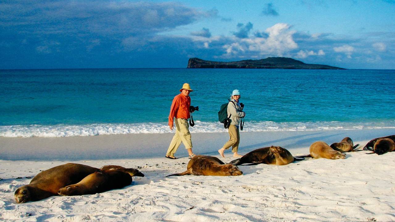 sea lions with guests, Galapagos