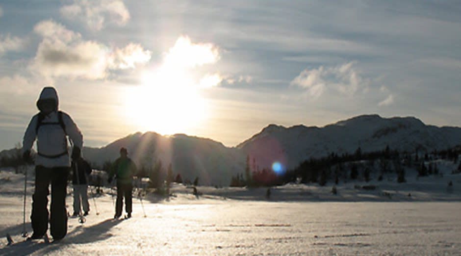 Cross-Country Skiing in Norway