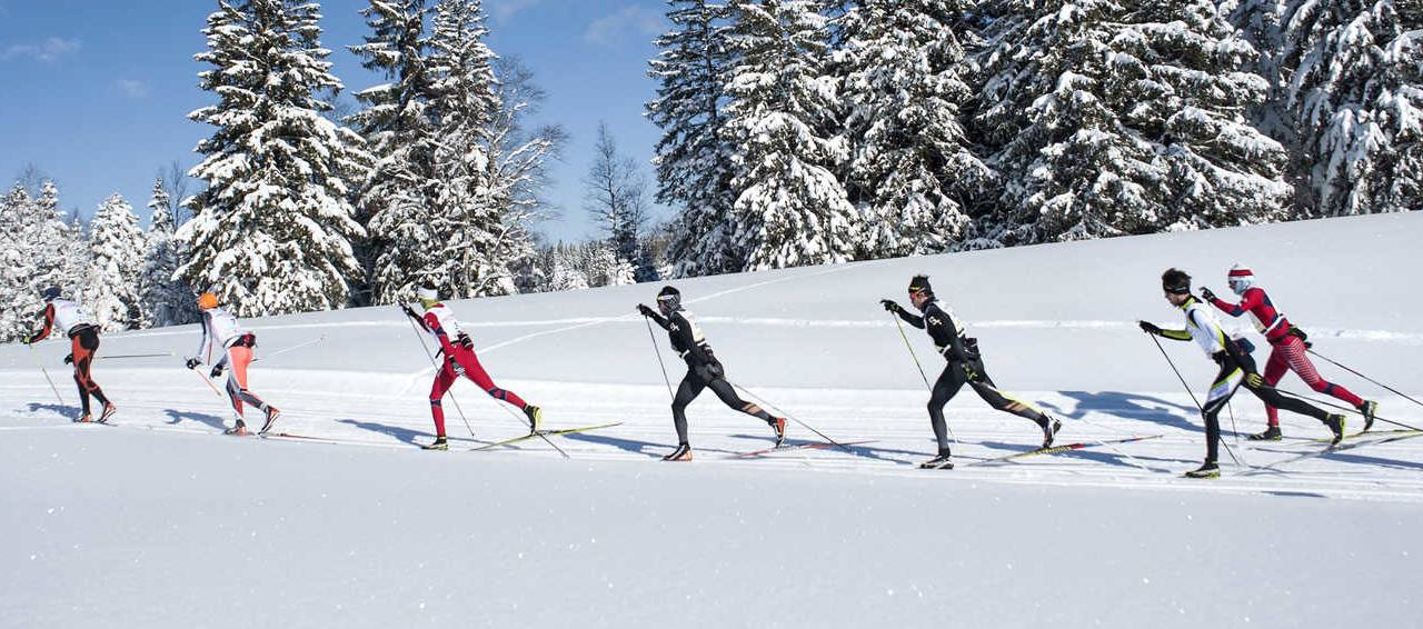 ski racing