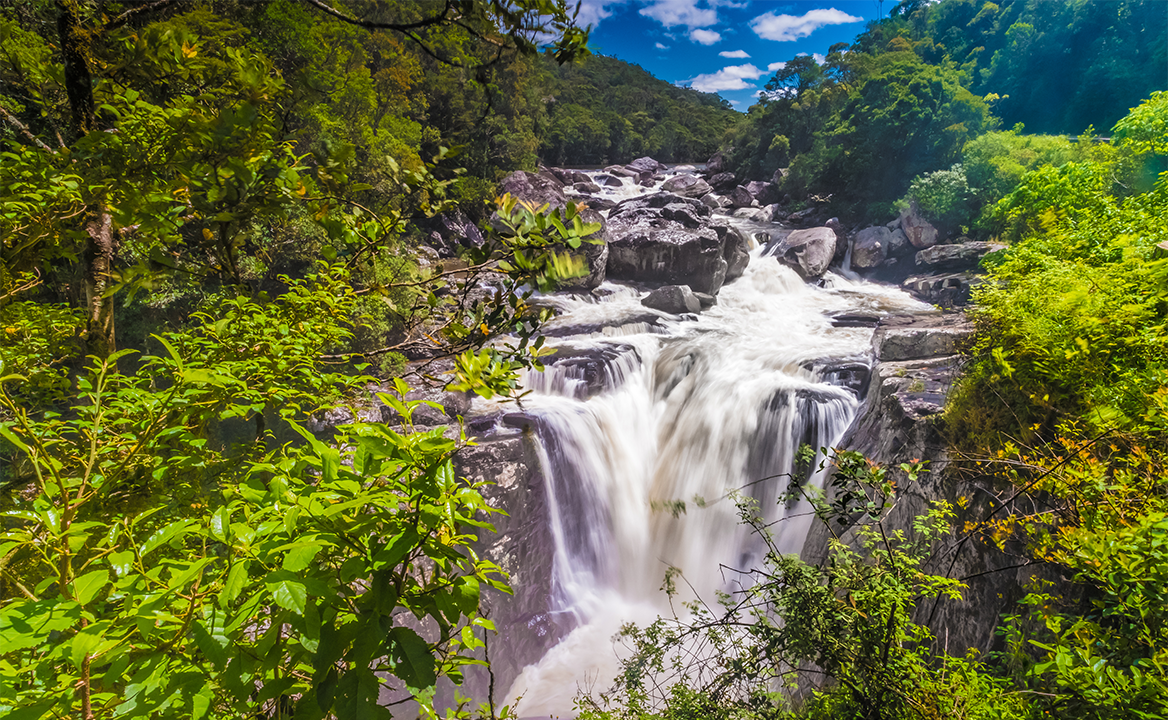 Ranomafana National Park, Madagascar