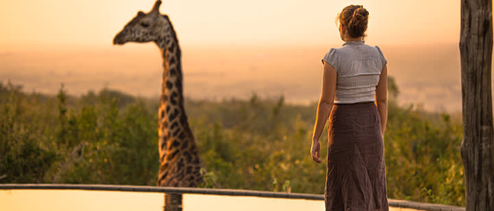 Giraffe sunset in Tanzania
