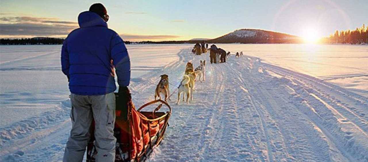 arctic dogsledding