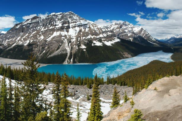 Peyto Lake