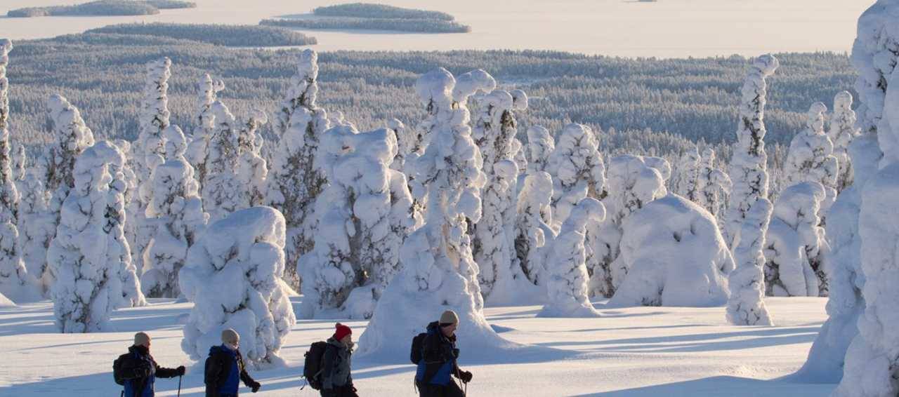 winter activity holiday in finland