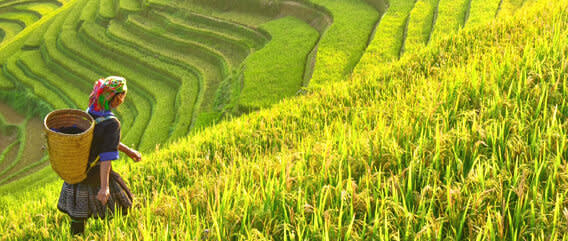 Woman walking across a field