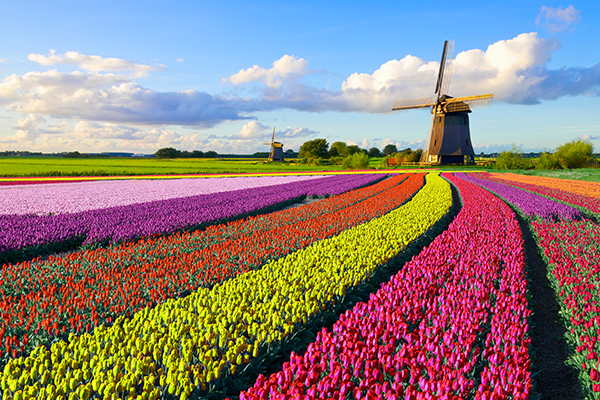 Holland