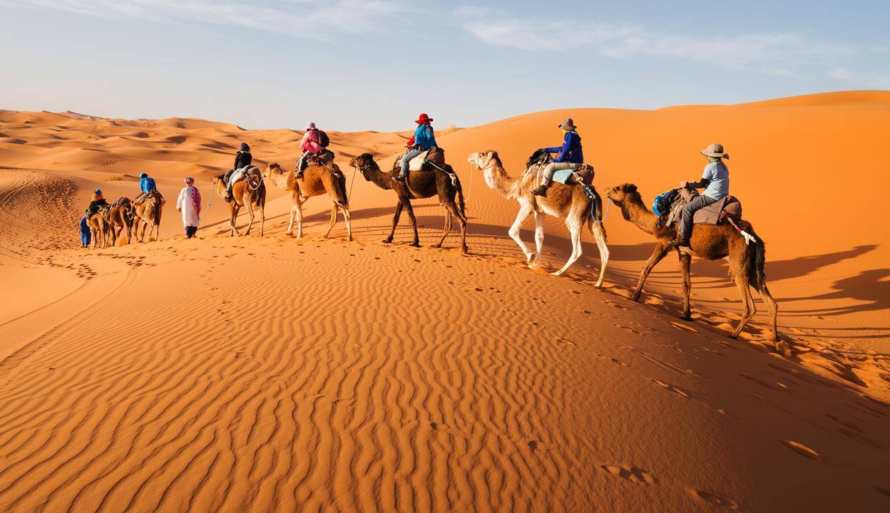 Camel train in the desert, Morocco