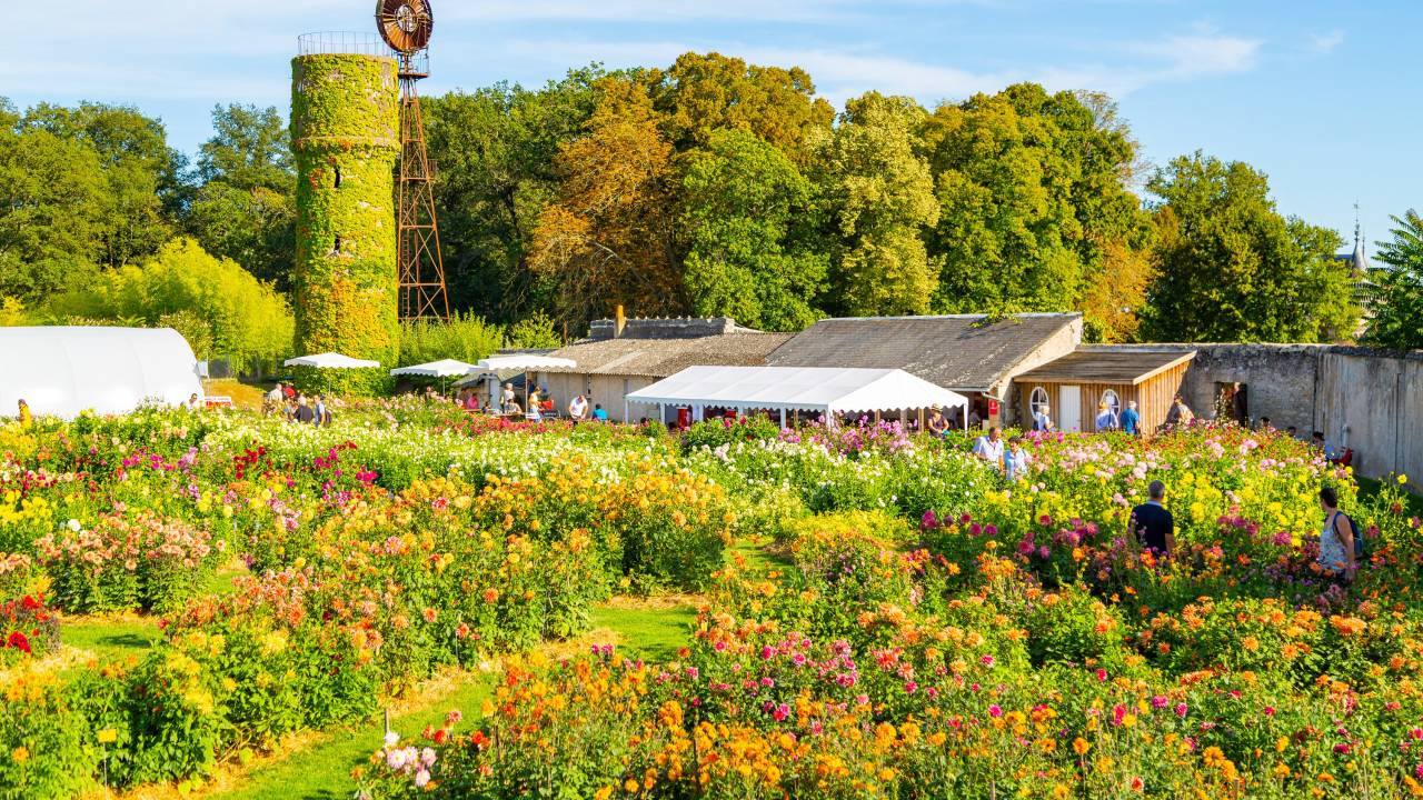 Loire Valley: Walks, Wine & Chateaux