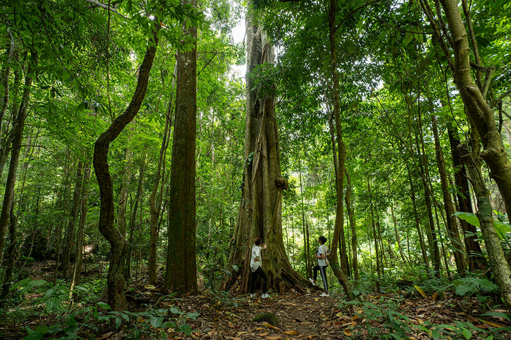 Discover Laos in Comfort