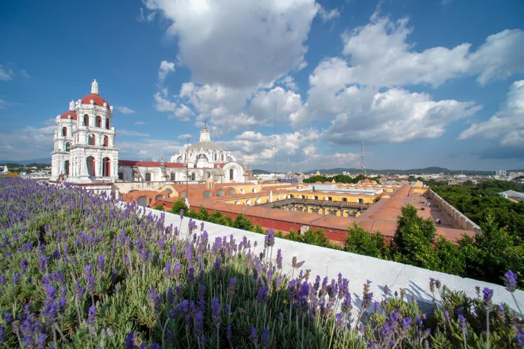 Mexico: Maya, Aztecs & Conquistadors Day of the Dead Festival (Oaxaca)