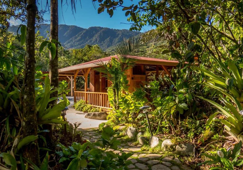 Wild Costa Rica – Premium Adventure