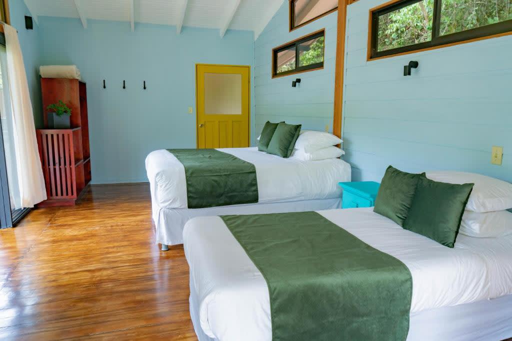 Wild Costa Rica – Premium Adventure