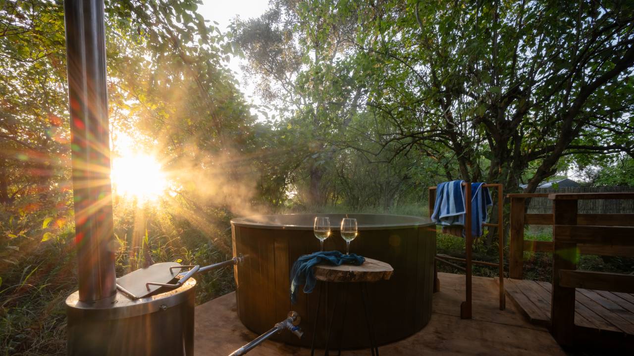 Kruger Safari Highlights – Premium Adventure