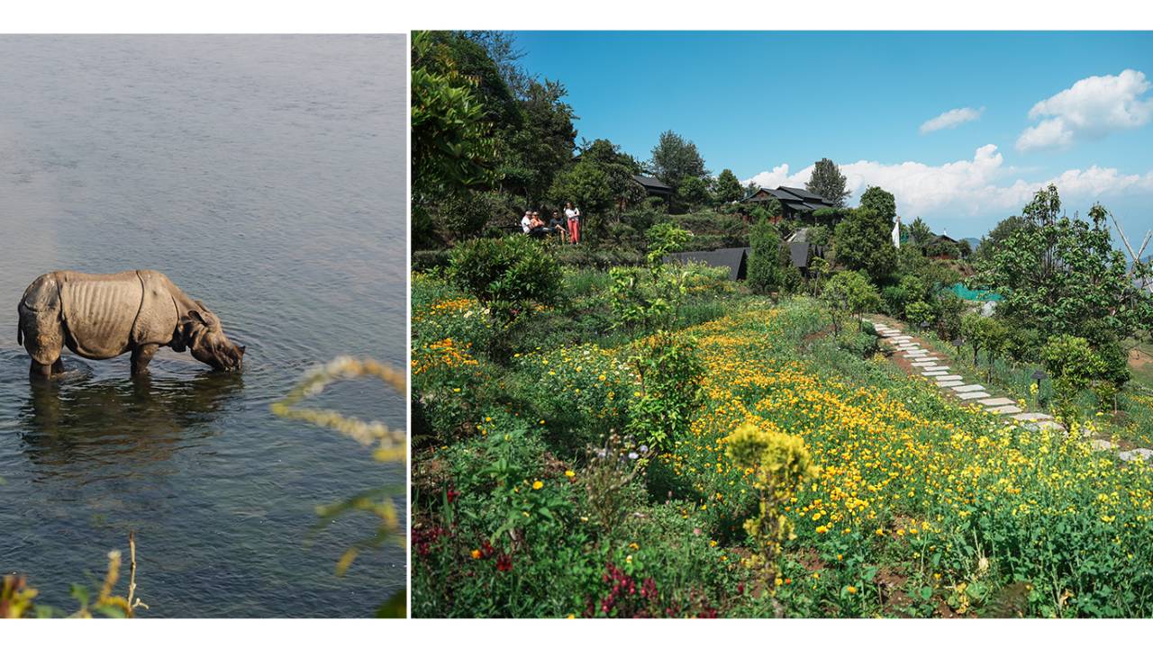 Everest Treks in Comfort