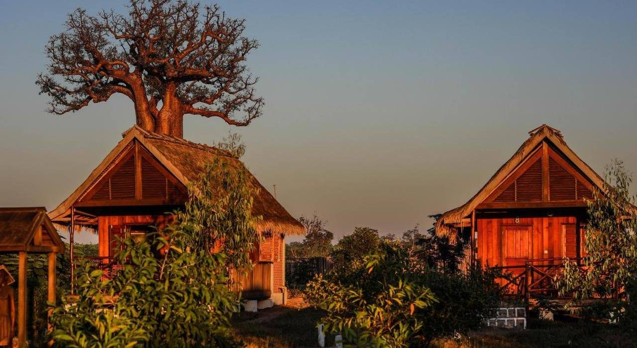 Madagascar Wildlife Adventure