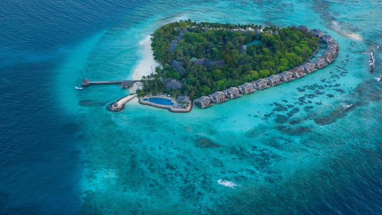 Sri Lankan Highlights