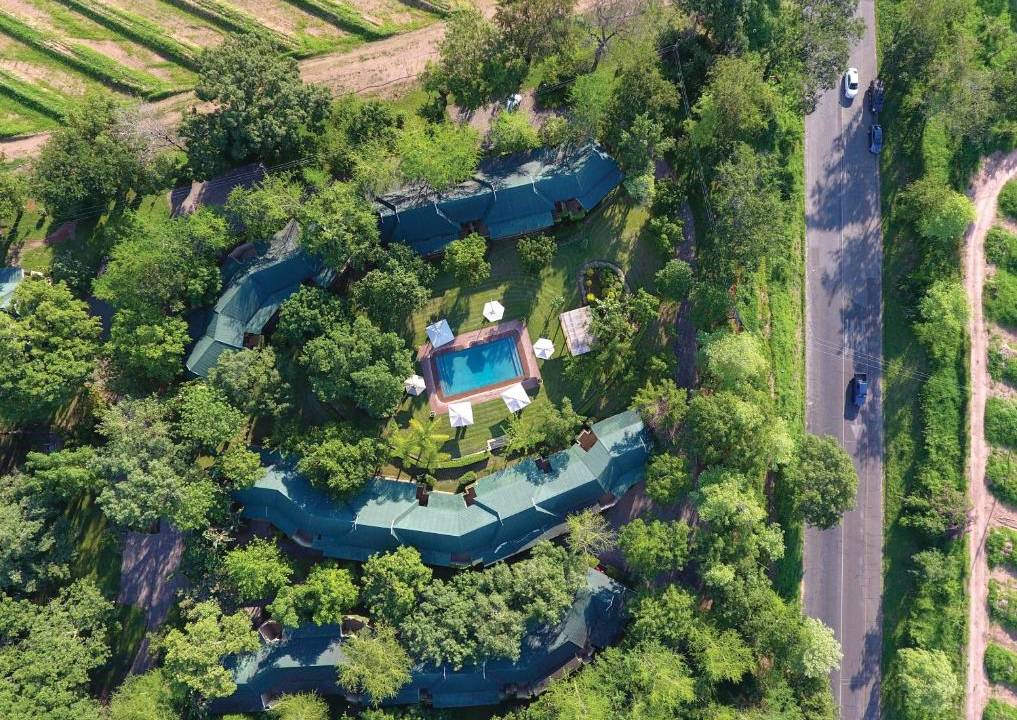 Essential Kruger Safari