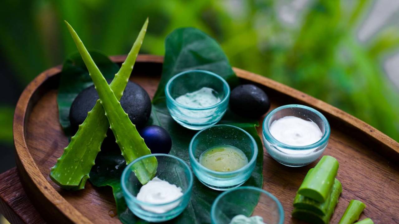 Signature Indonesia | The Sacred Wild Isles