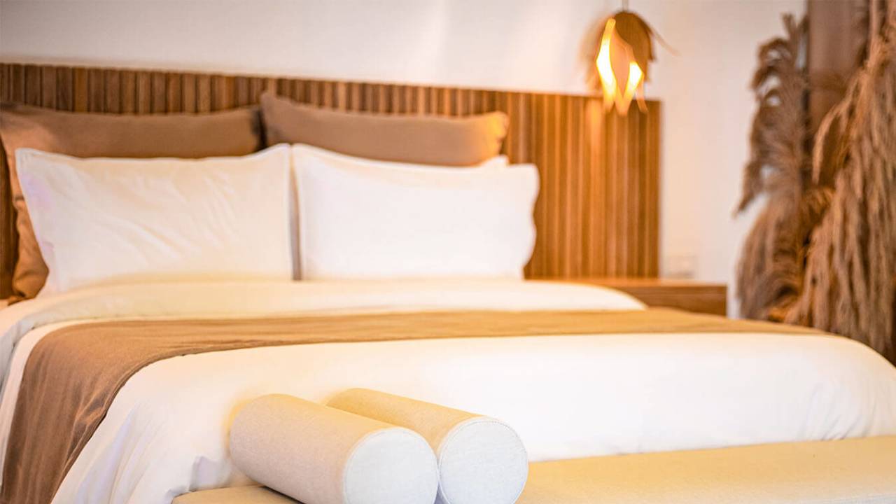 Signature Colombia | Stories Beneath Wax Palms