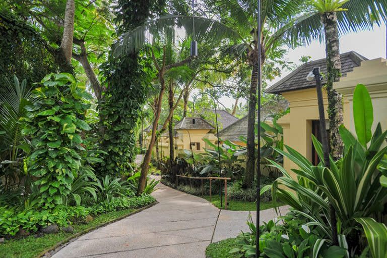 Signature Indonesia | The Sacred Wild Isles