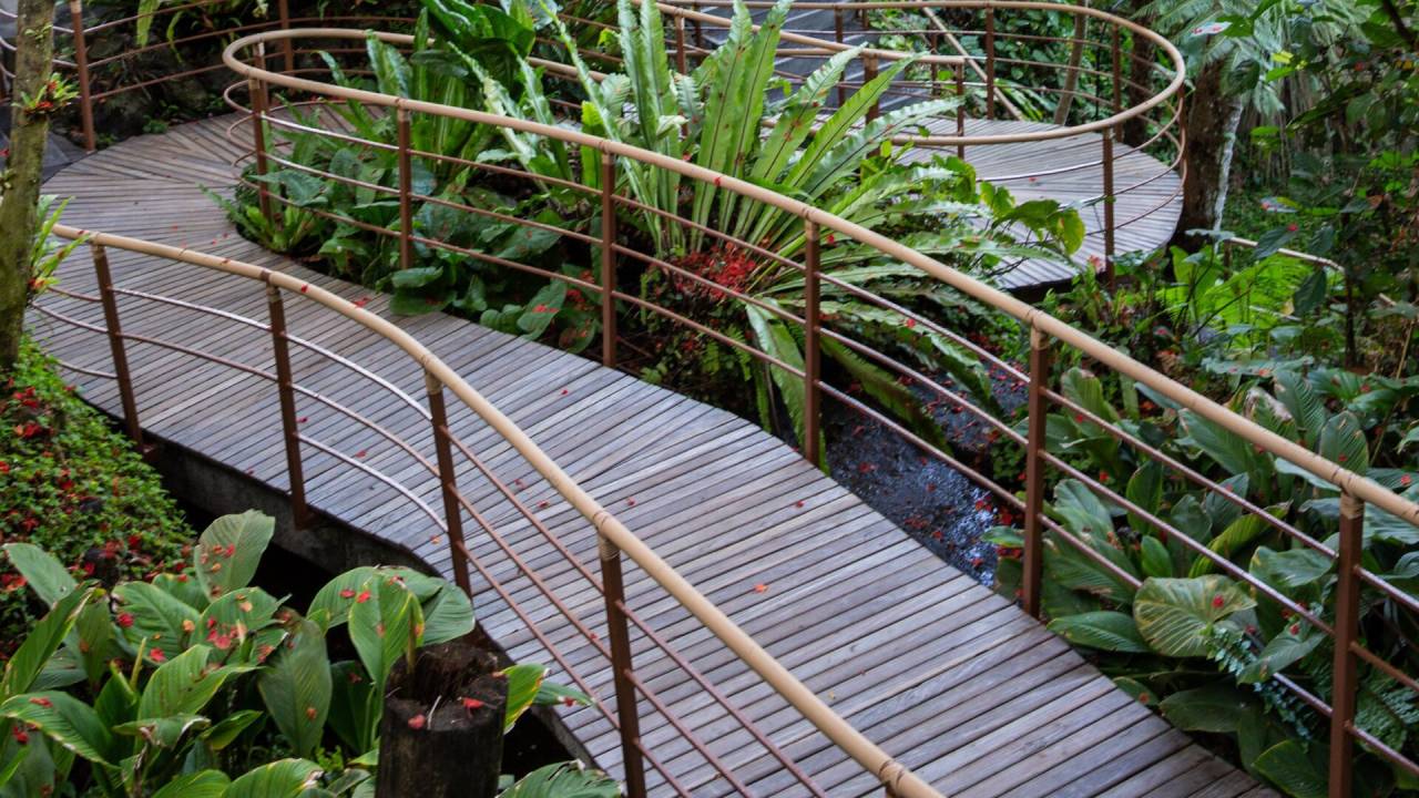 Signature Indonesia | The Sacred Wild Isles