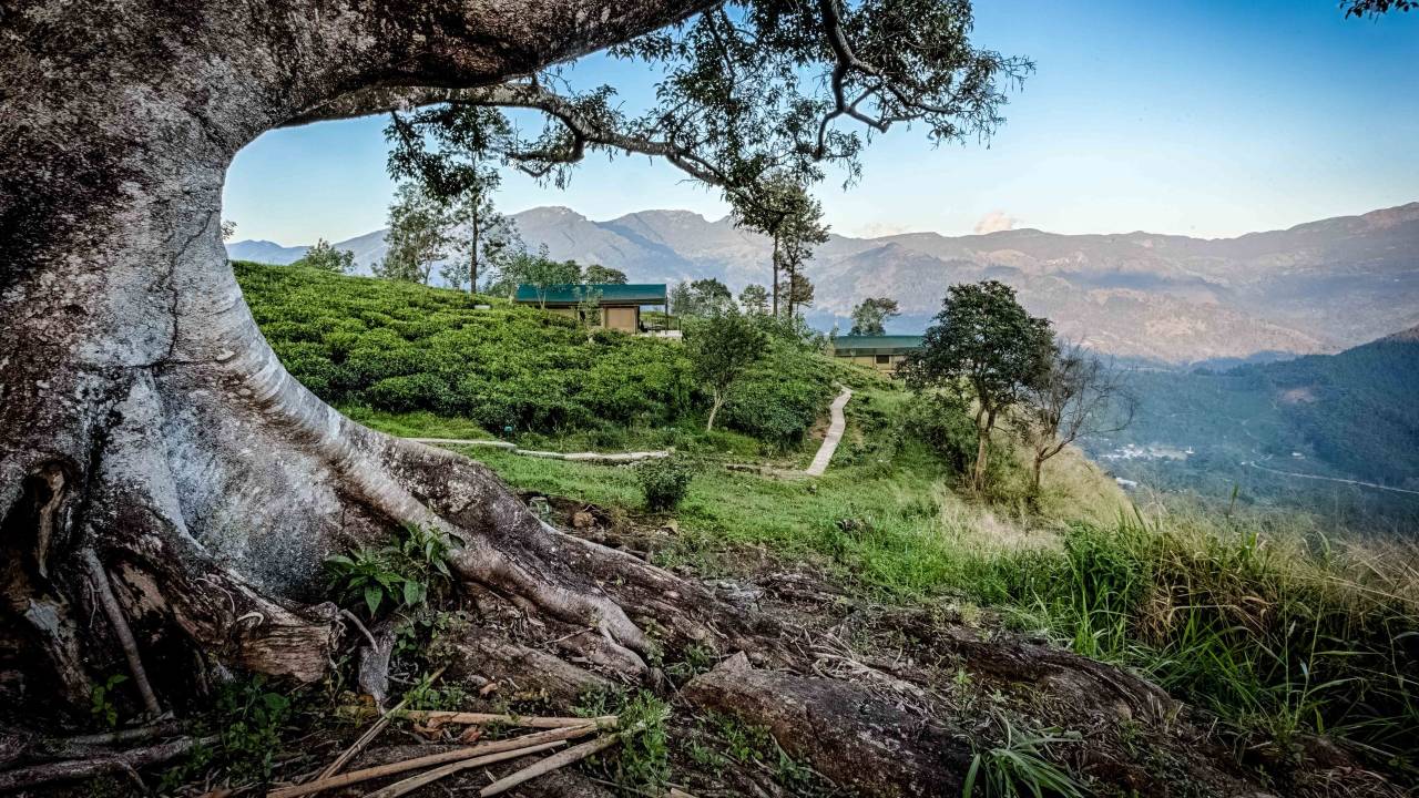 Signature Sri Lanka | The Island of Serendipity