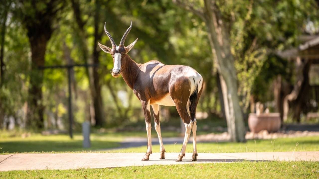 Discover Namibia – Premium Adventure