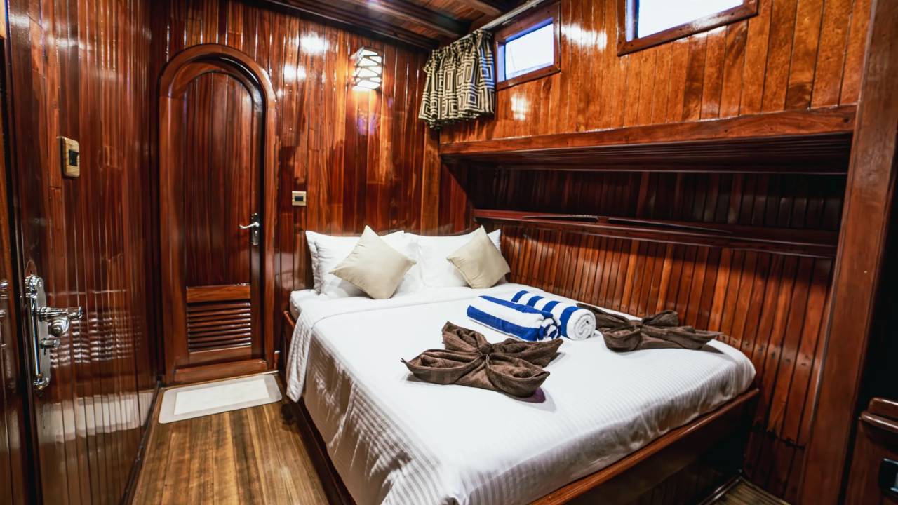 Marine Wildlife of the Maldives