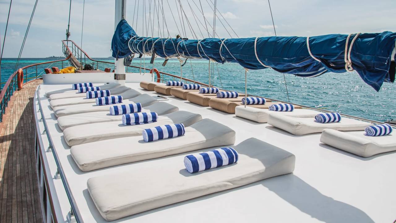 Marine Wildlife of the Maldives